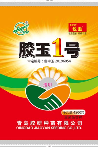胶玉1号——玉米